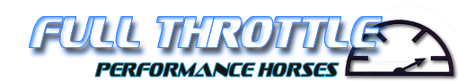 Full Throttle Logo