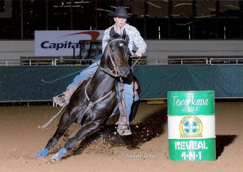 Magnum FT- Barrel Racing Stallion