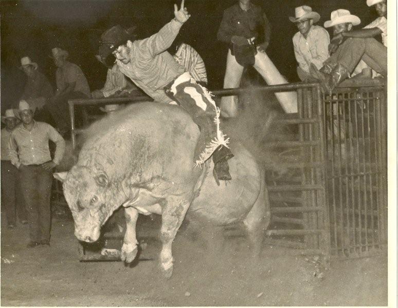 Amy's Dad- Rodeo